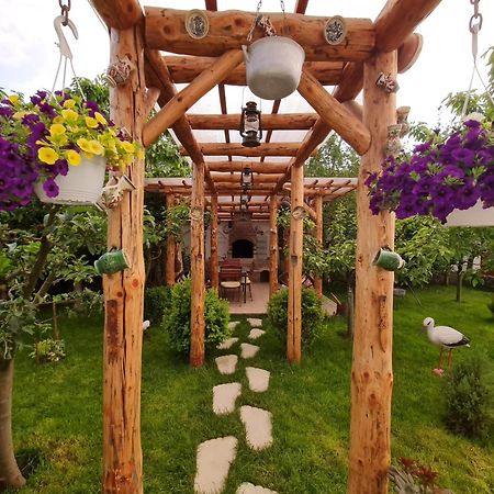 Apartamento Casa Aryan Sînpetru Exterior foto