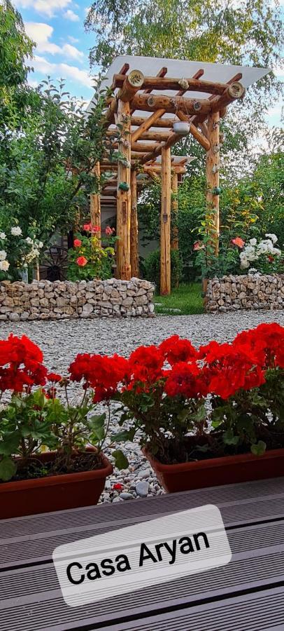Apartamento Casa Aryan Sînpetru Exterior foto