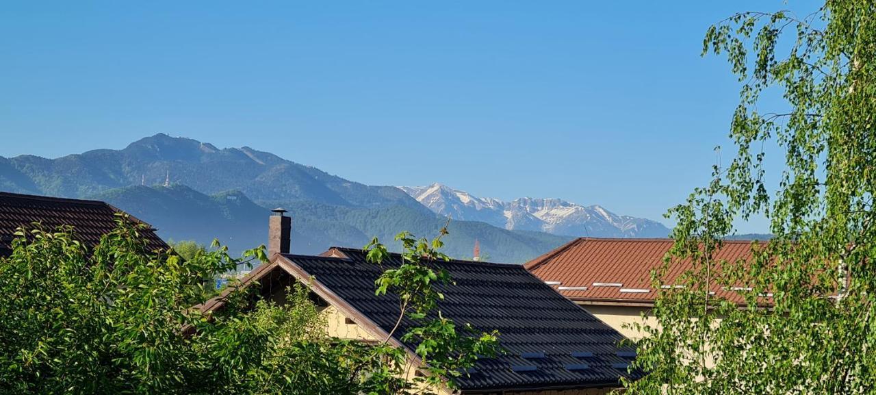 Apartamento Casa Aryan Sînpetru Exterior foto