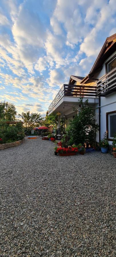 Apartamento Casa Aryan Sînpetru Exterior foto