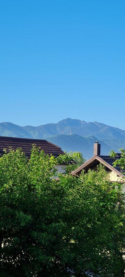 Apartamento Casa Aryan Sînpetru Exterior foto