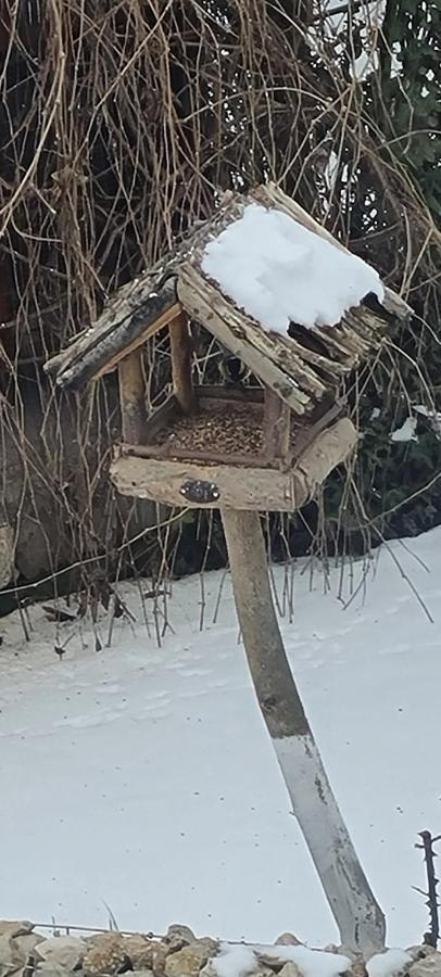 Apartamento Casa Aryan Sînpetru Exterior foto