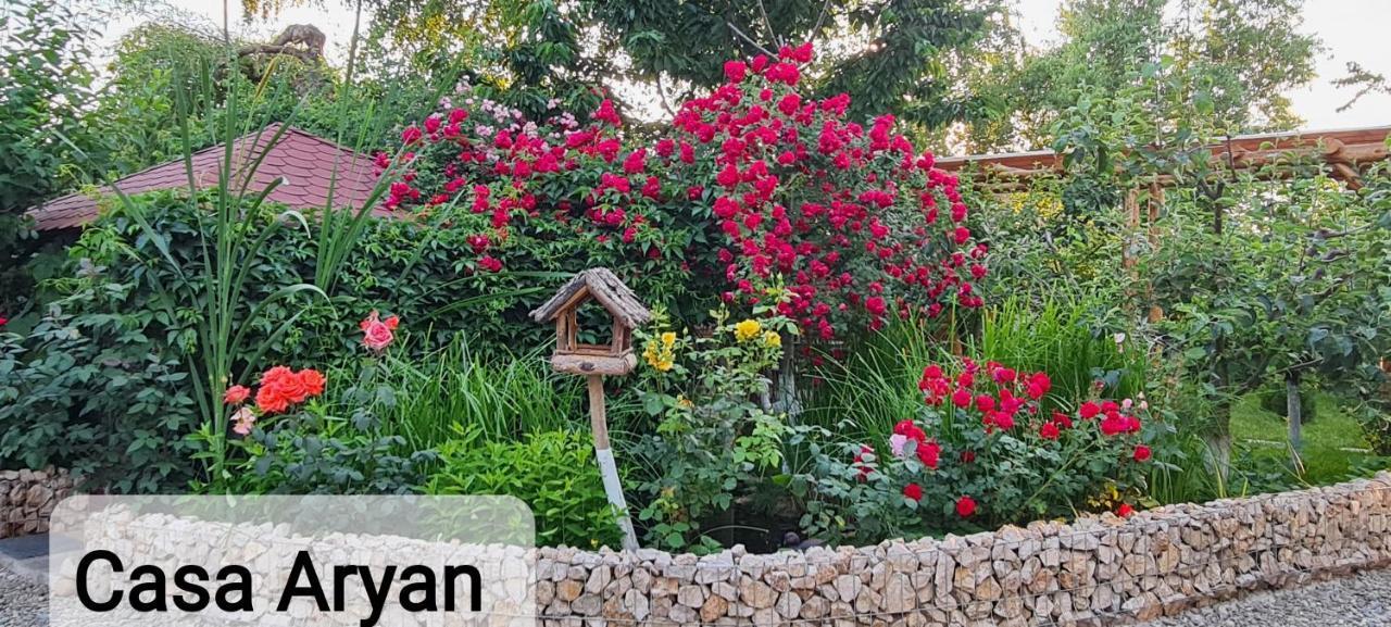 Apartamento Casa Aryan Sînpetru Exterior foto