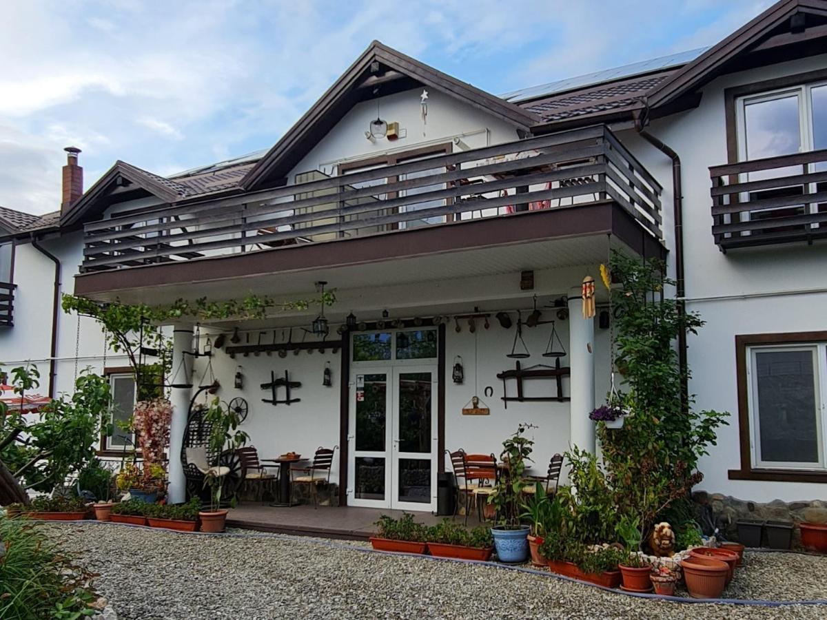 Apartamento Casa Aryan Sînpetru Exterior foto
